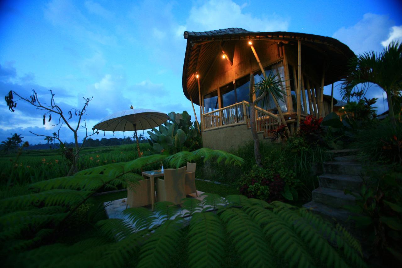 Padi Bali Eco Villas Payangan Exterior foto